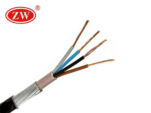 Armoured Cable 6mm